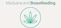 Marijuana and Breastfeeding text