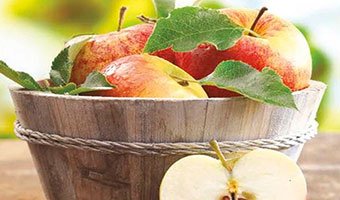 A basket of freshly picked apples