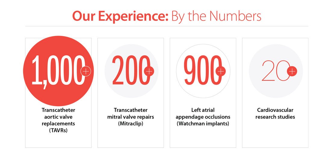 Our experience: By the numbers graphic