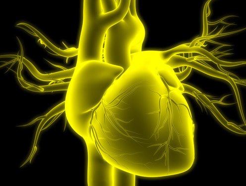 Illustration of a heart scan