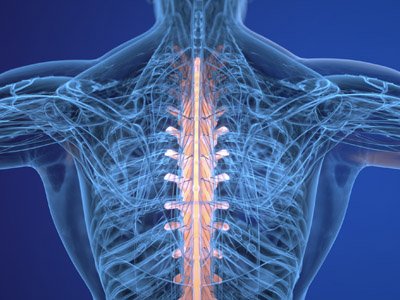 Illustration of a spine scan