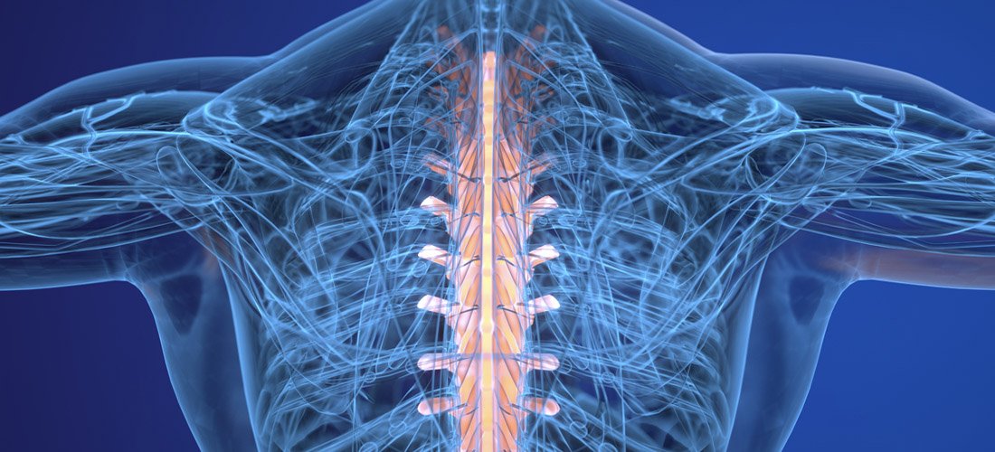 Illustration of a spine scan