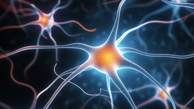 Illustration of brain nerves
