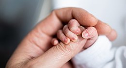 an adult holding a baby's little hand
