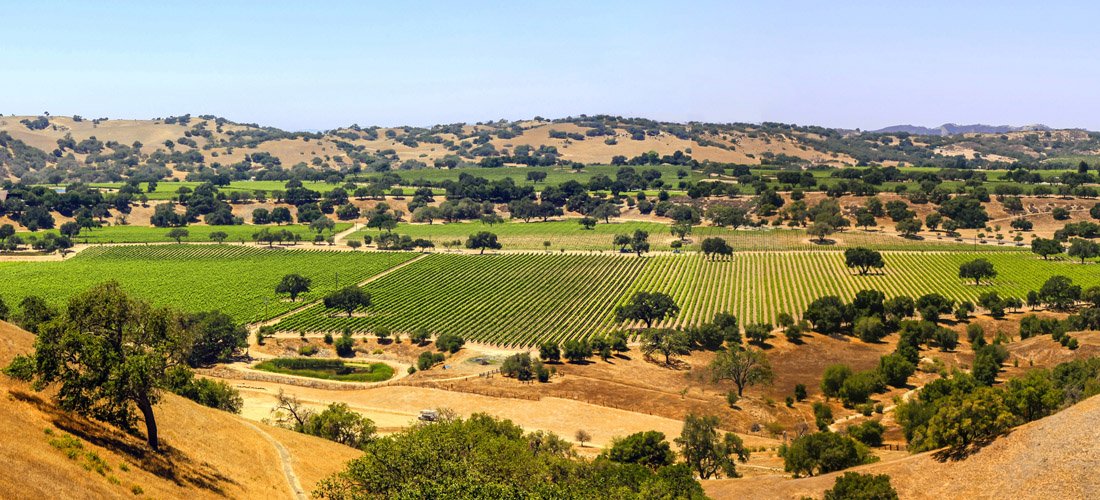 Foxen Canyon in the Santa Ynez Valley